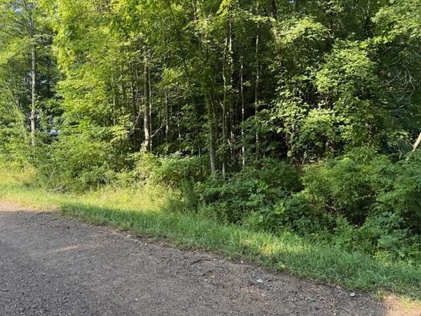 5815 Jefferson Street, Coloma, MI 49038