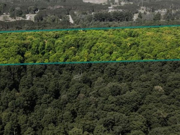 5811 Greenleaf Lane, Grawn, MI 00000