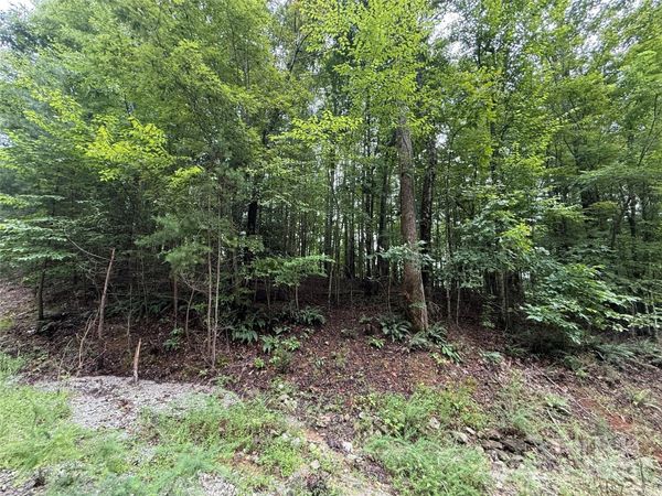 0 Woodchuck Lane, Marion, NC 28752