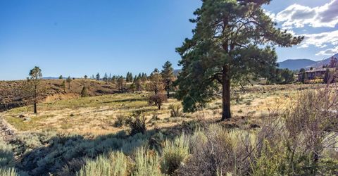 203 S Argyle Court, Reno, NV 89511 Photo