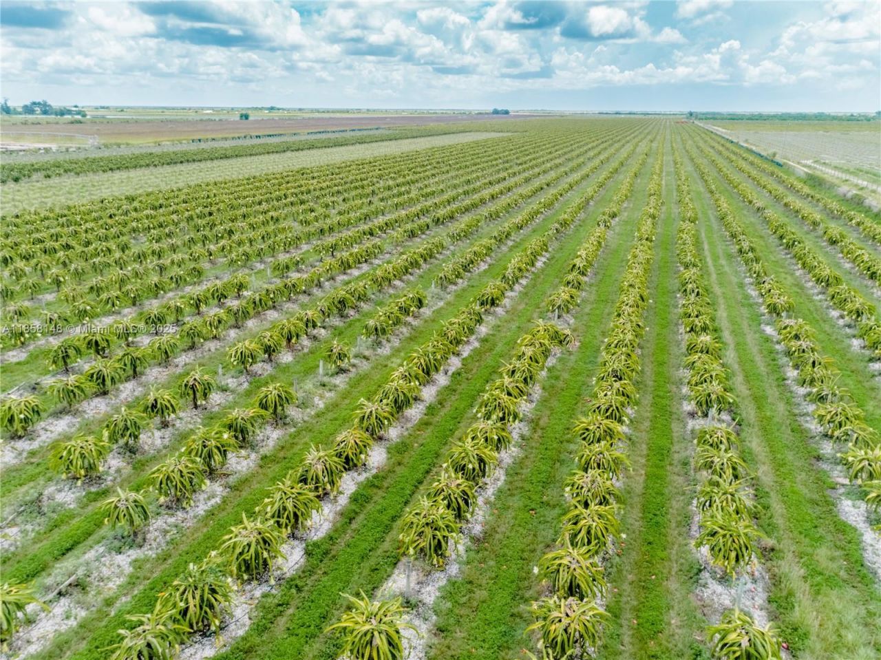 32600 SW 217 Av, Homestead, FL 33030 Photo