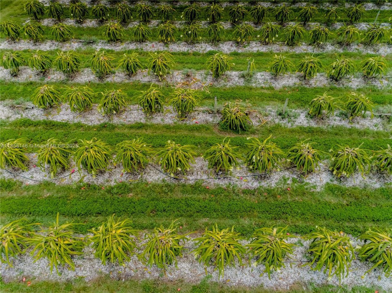 32600 SW 217 Av, Homestead, FL 33030 Photo