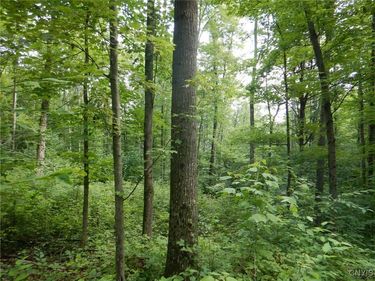 0 Starks Road, Newfield, NY 14867