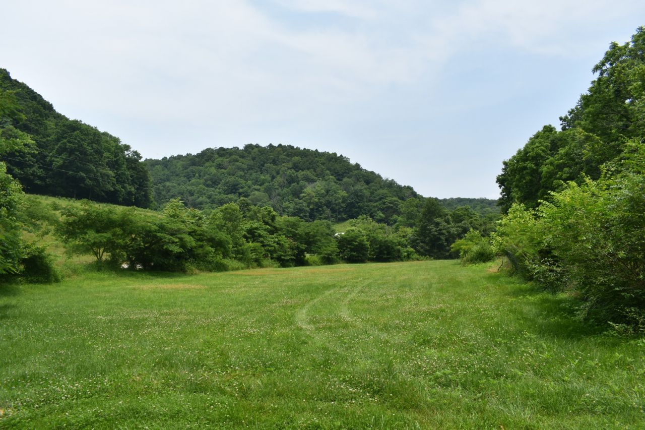 0 Nascar Ln, Pleasant Shade, TN 37145 Main Photo