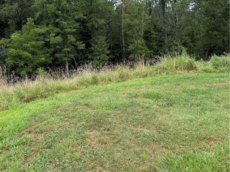 Terra Ridge Lane, Dillonvale, OH 43912 Photo 2