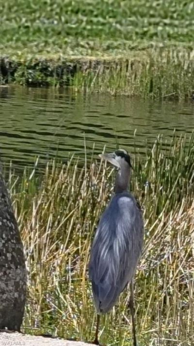 9534 Hemingway Ln, Fort Myers, FL 33913 Photo