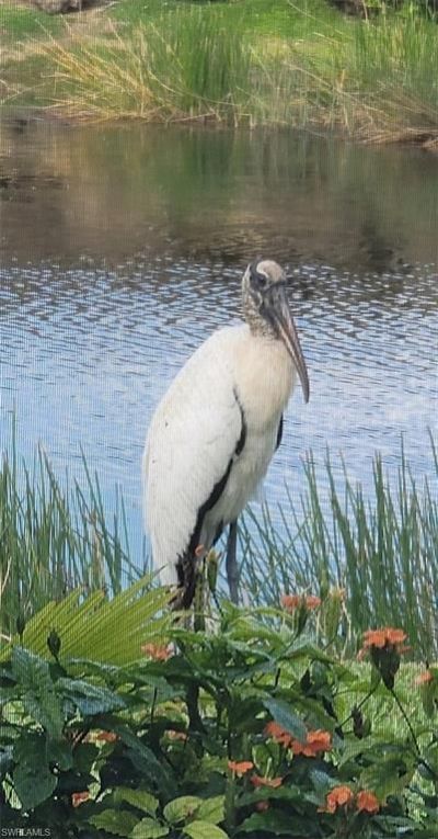 9534 Hemingway Ln, Fort Myers, FL 33913 Photo