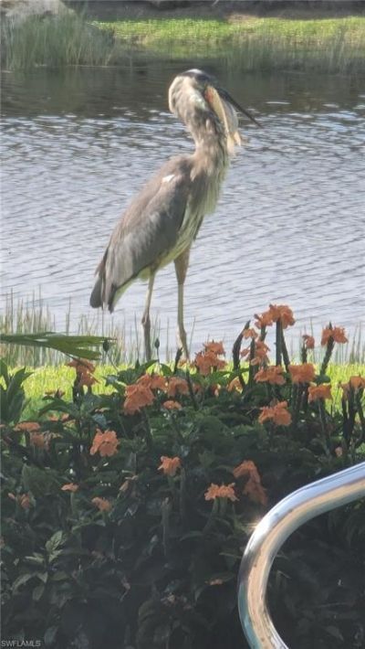 9534 Hemingway Ln, Fort Myers, FL 33913 Photo