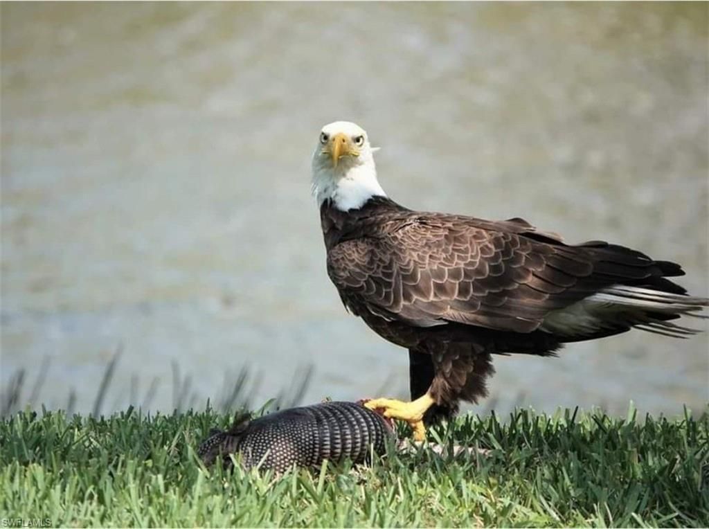 9534 Hemingway Ln, Fort Myers, FL 33913 Photo