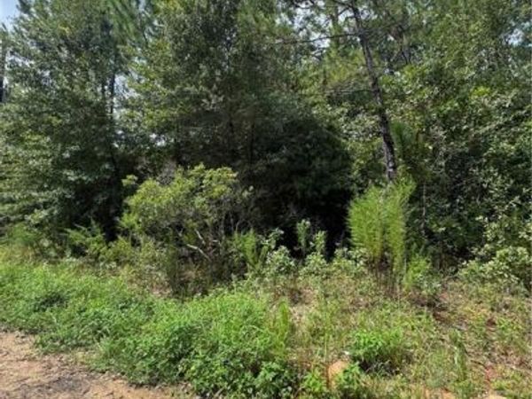 9980 Taylor Avenue S, Irvington, AL 36544