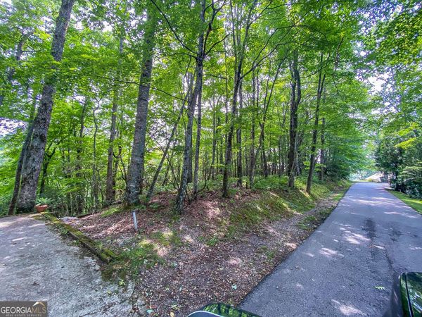 LOT 1 Pleasant Mountain Drive, Sky Valley, GA 30537