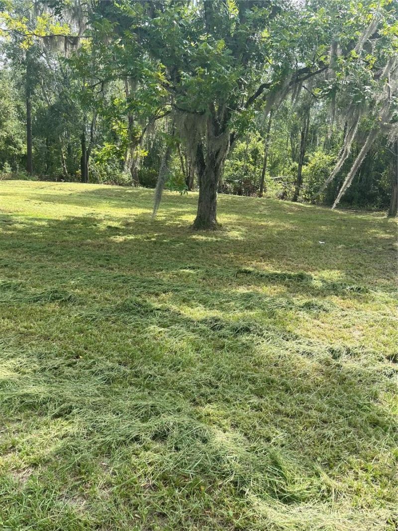 11226 Clarence Bennett Road, Sanderson, FL 32087 Photo