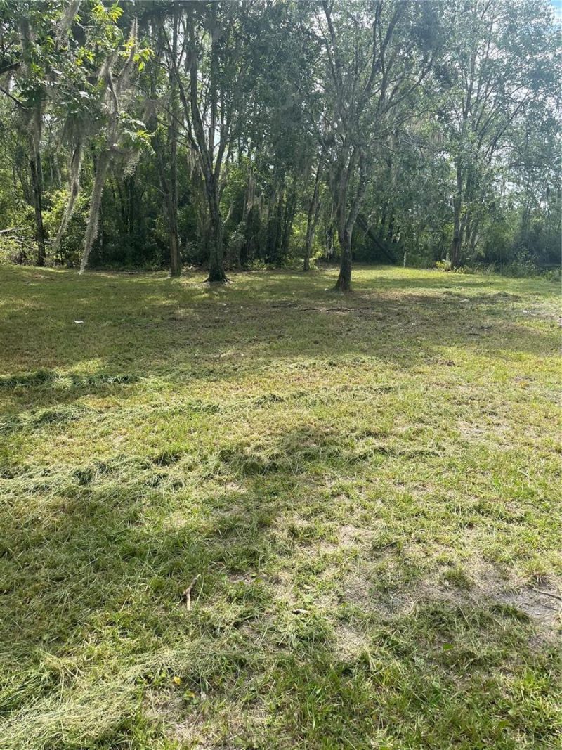 11226 Clarence Bennett Road, Sanderson, FL 32087 Photo