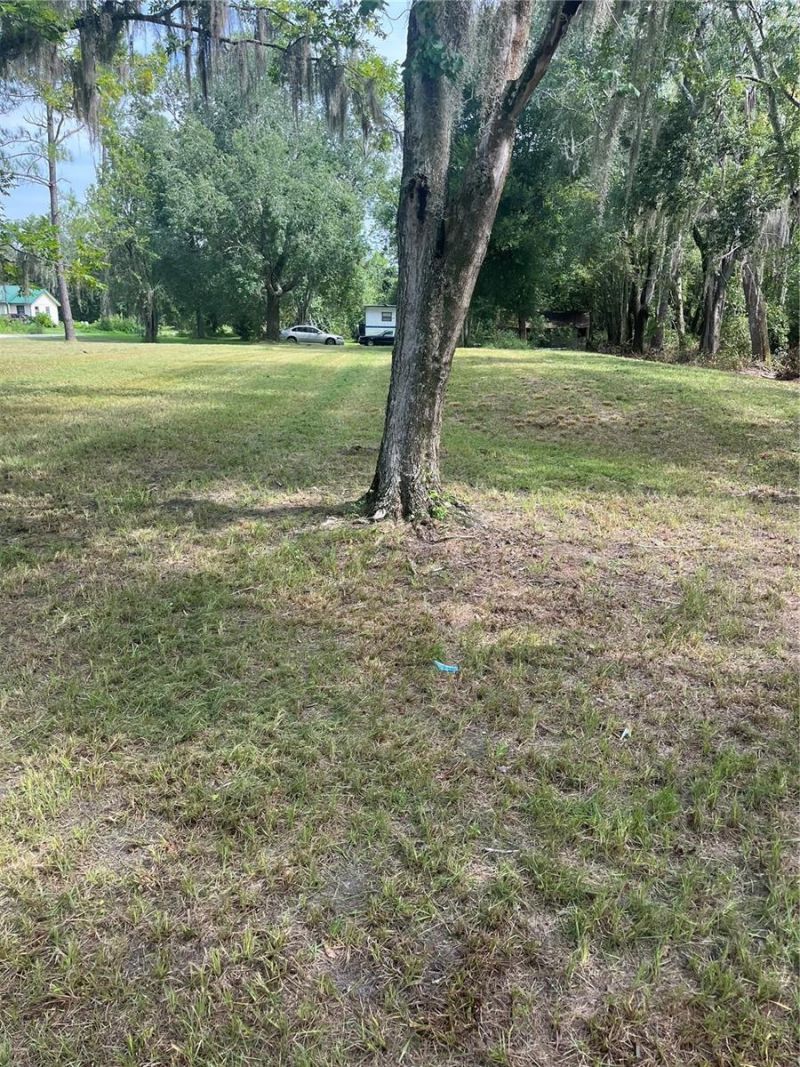 11226 Clarence Bennett Road, Sanderson, FL 32087 Photo