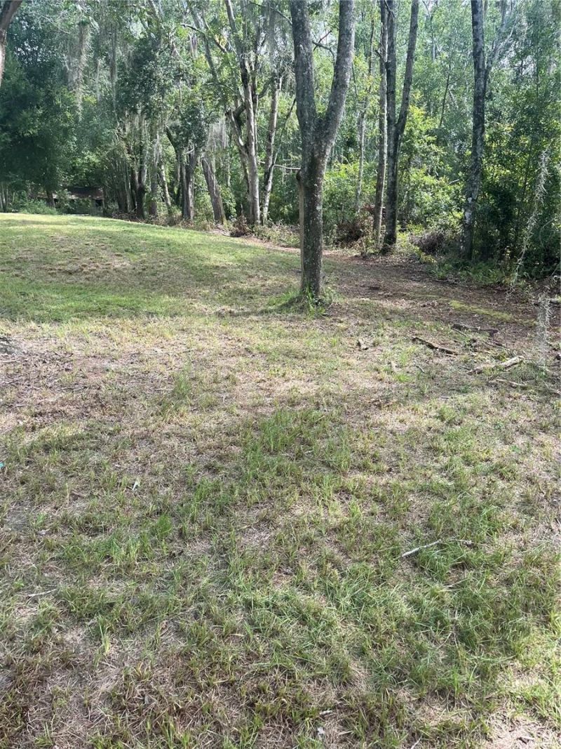 11226 Clarence Bennett Road, Sanderson, FL 32087 Photo