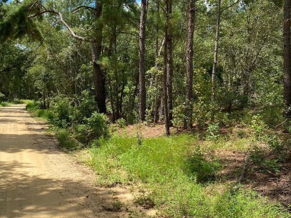 0 Mt Zion Church Road, Garfield, GA 30425