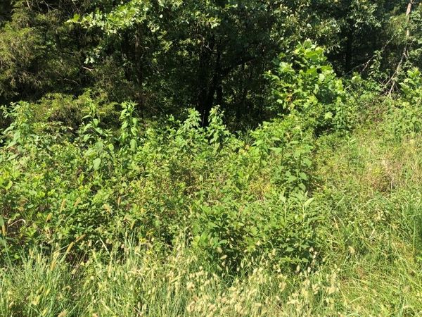 Lot 19 Lockhart Lane, Bella Vista, AR 72715