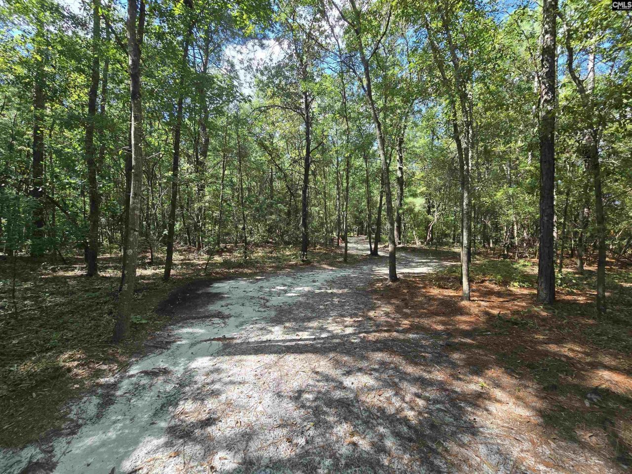 2551 Augusta Highway Photo 17