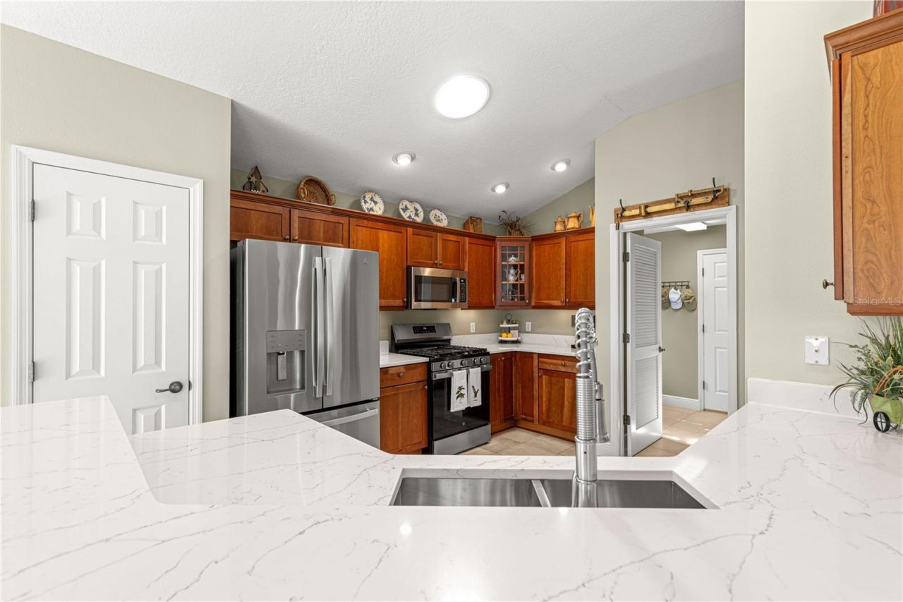 949 Isle Of Palms Path, The Villages, FL 32162 Photo