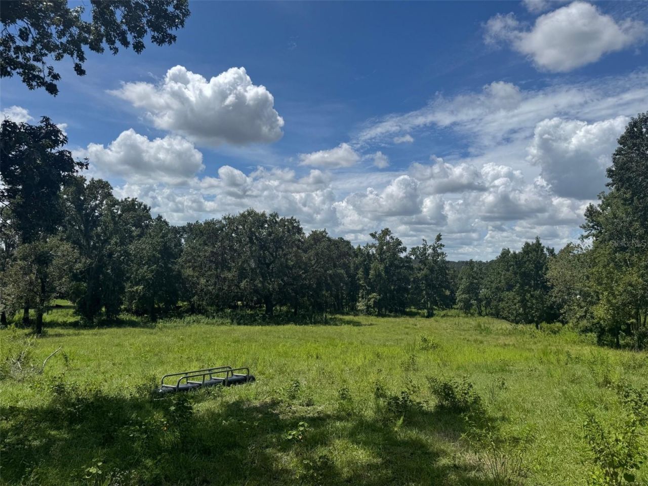 36641 Blanton Road, Dade City, FL 33523 Photo