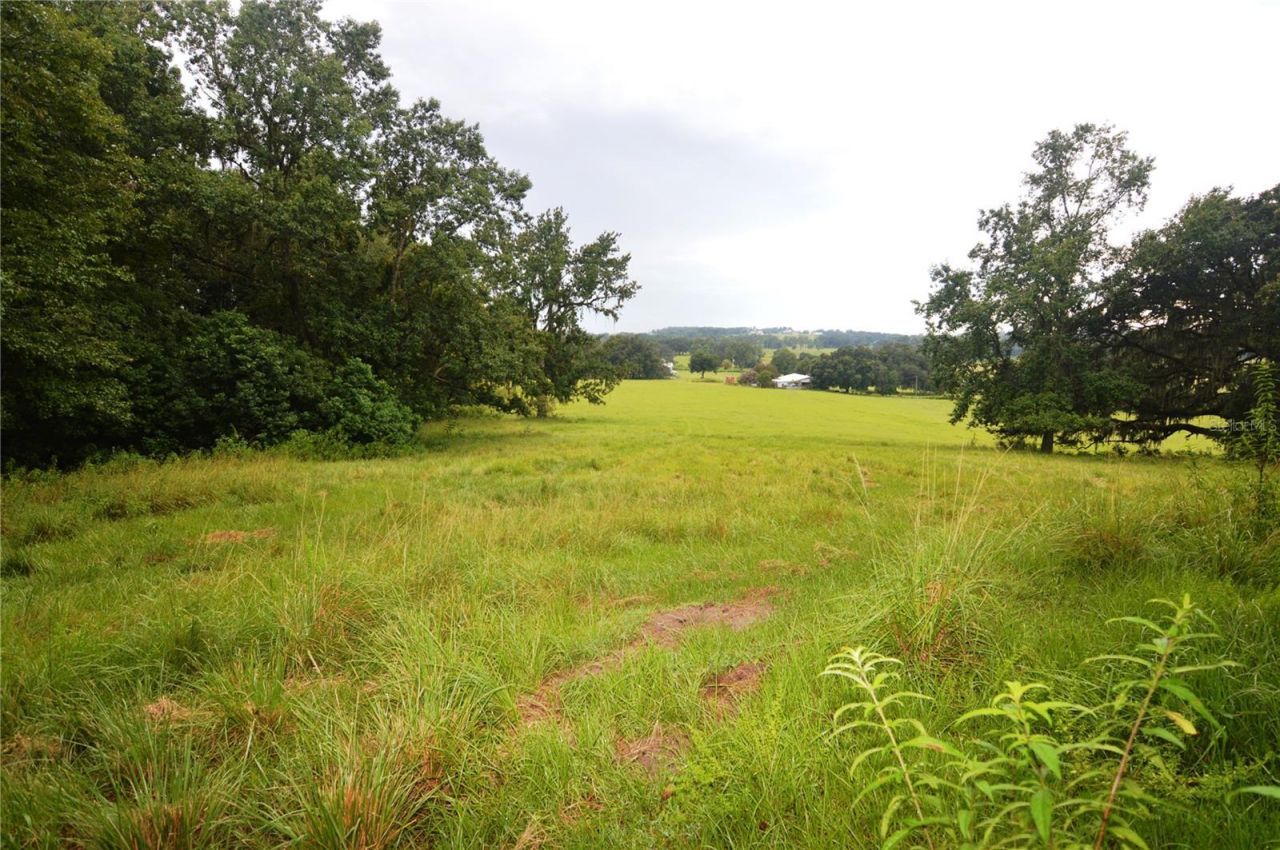 36641 Blanton Road, Dade City, FL 33523 Photo