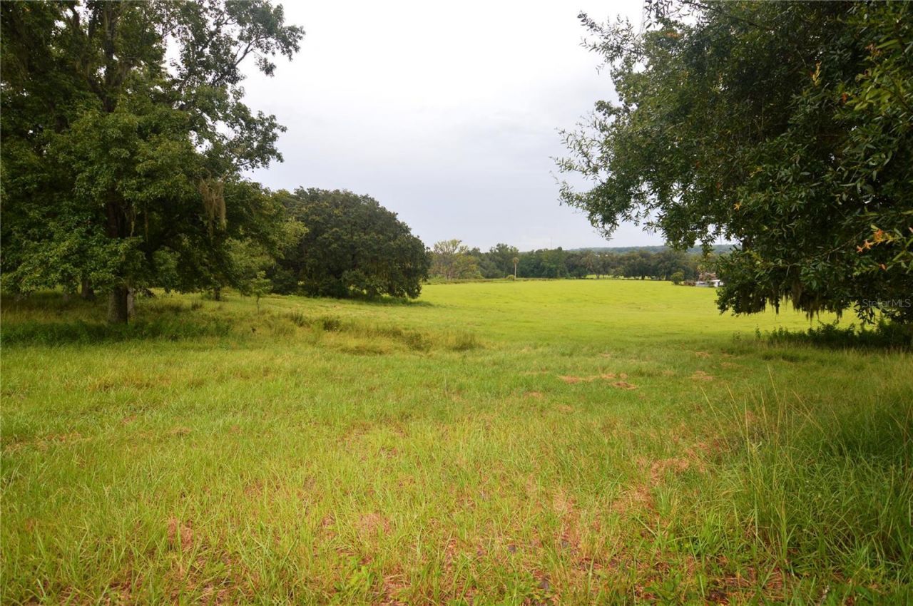 36641 Blanton Road, Dade City, FL 33523 Photo