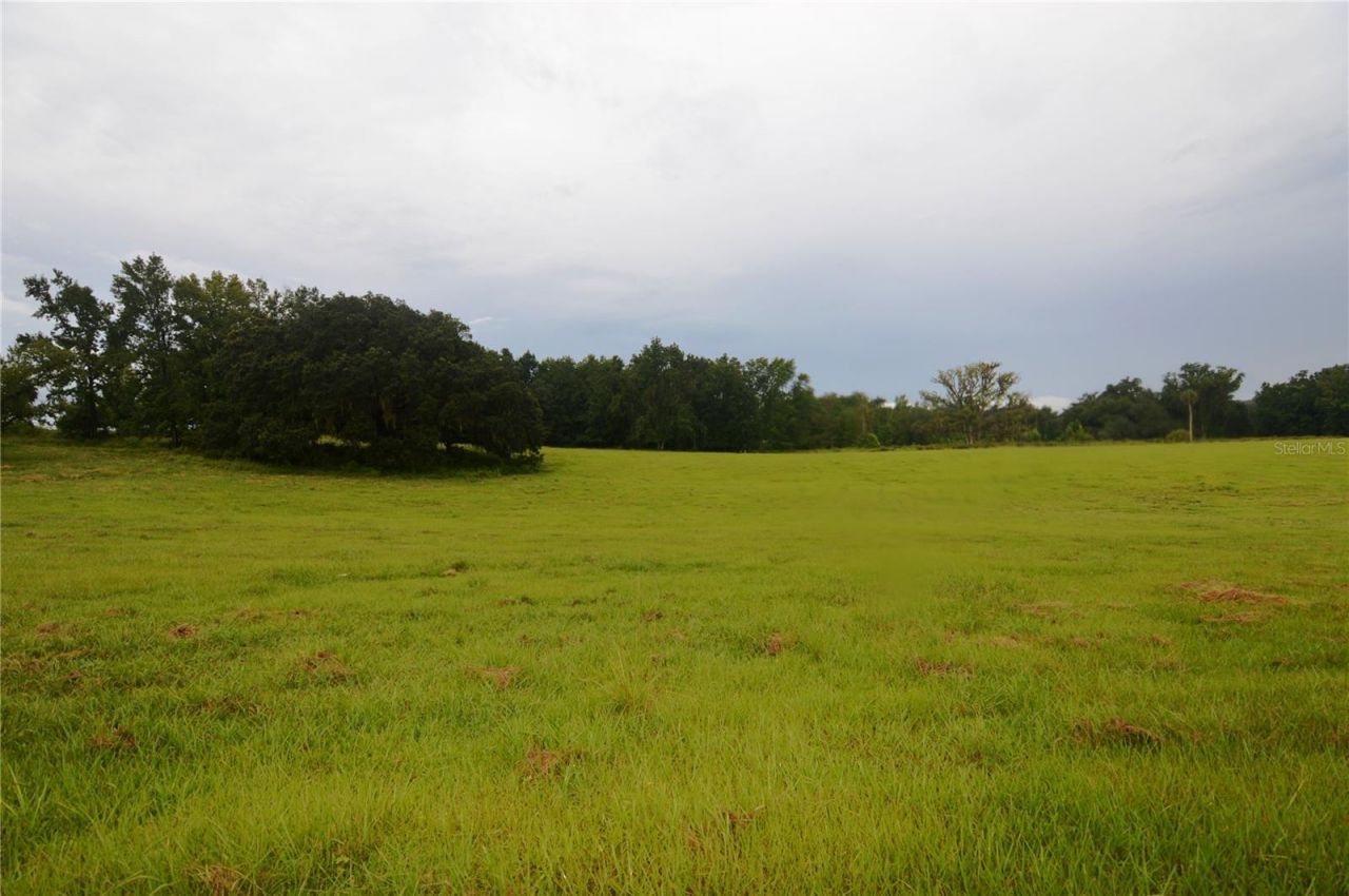 36641 Blanton Road, Dade City, FL 33523 Photo