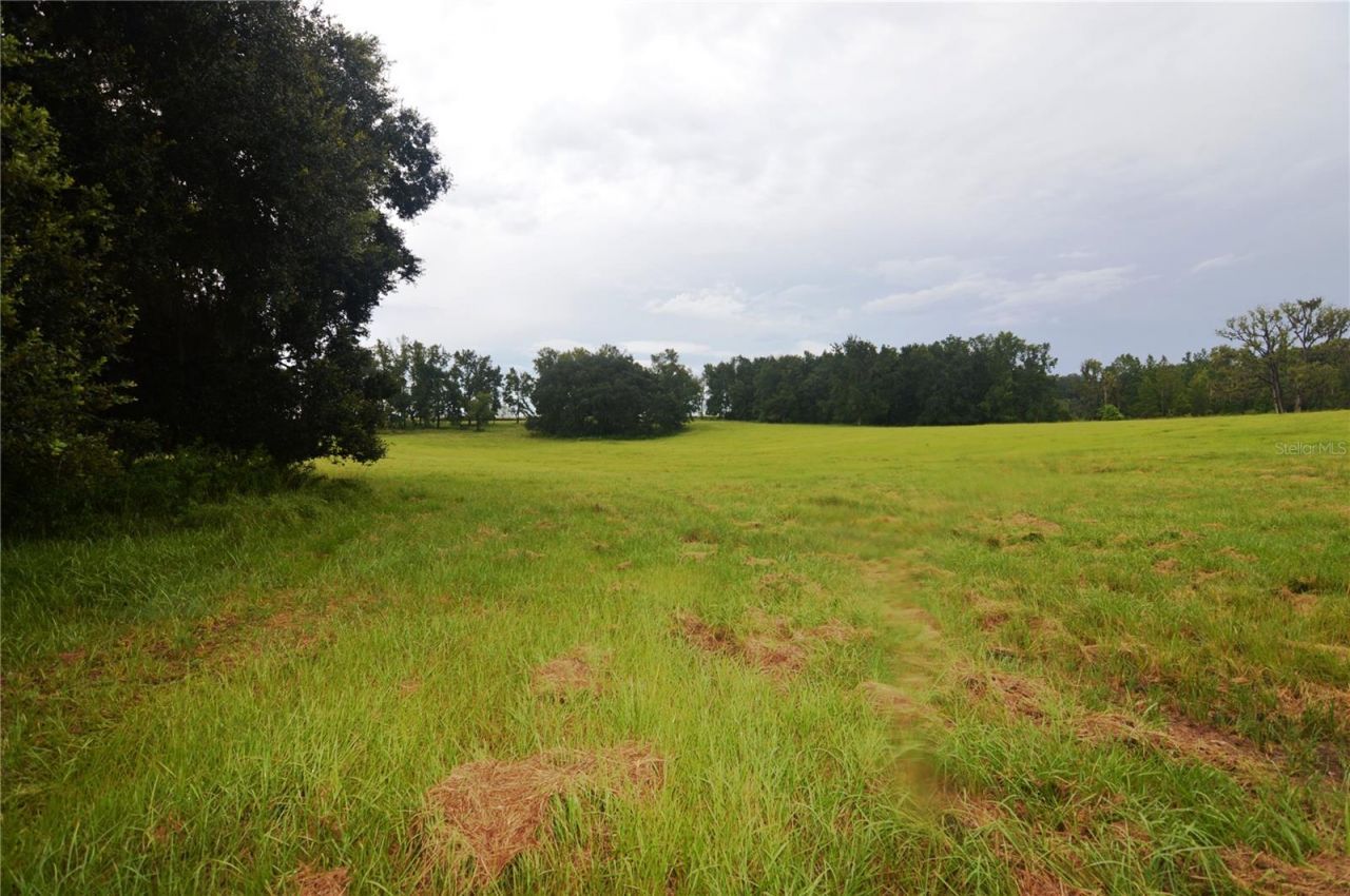 36641 Blanton Road, Dade City, FL 33523 Photo