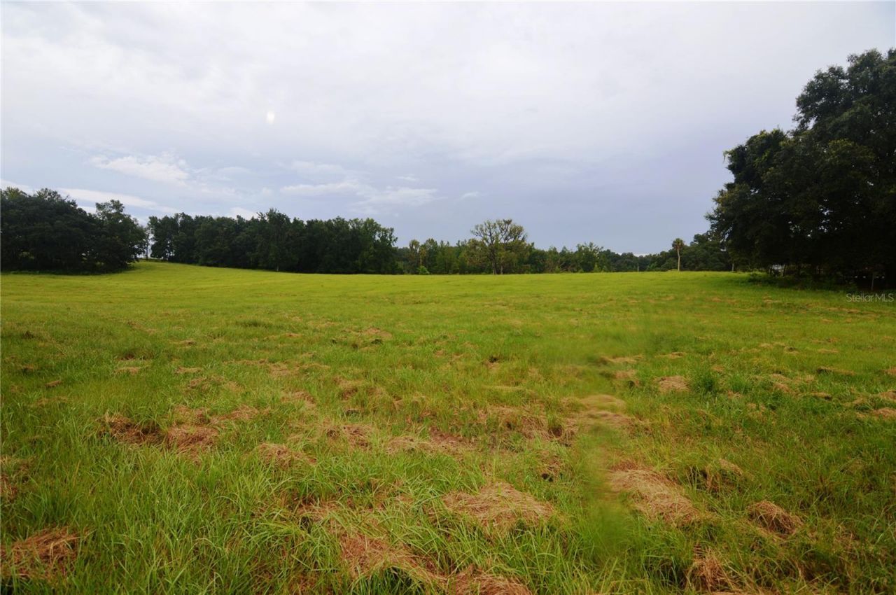 36641 Blanton Road, Dade City, FL 33523 Photo