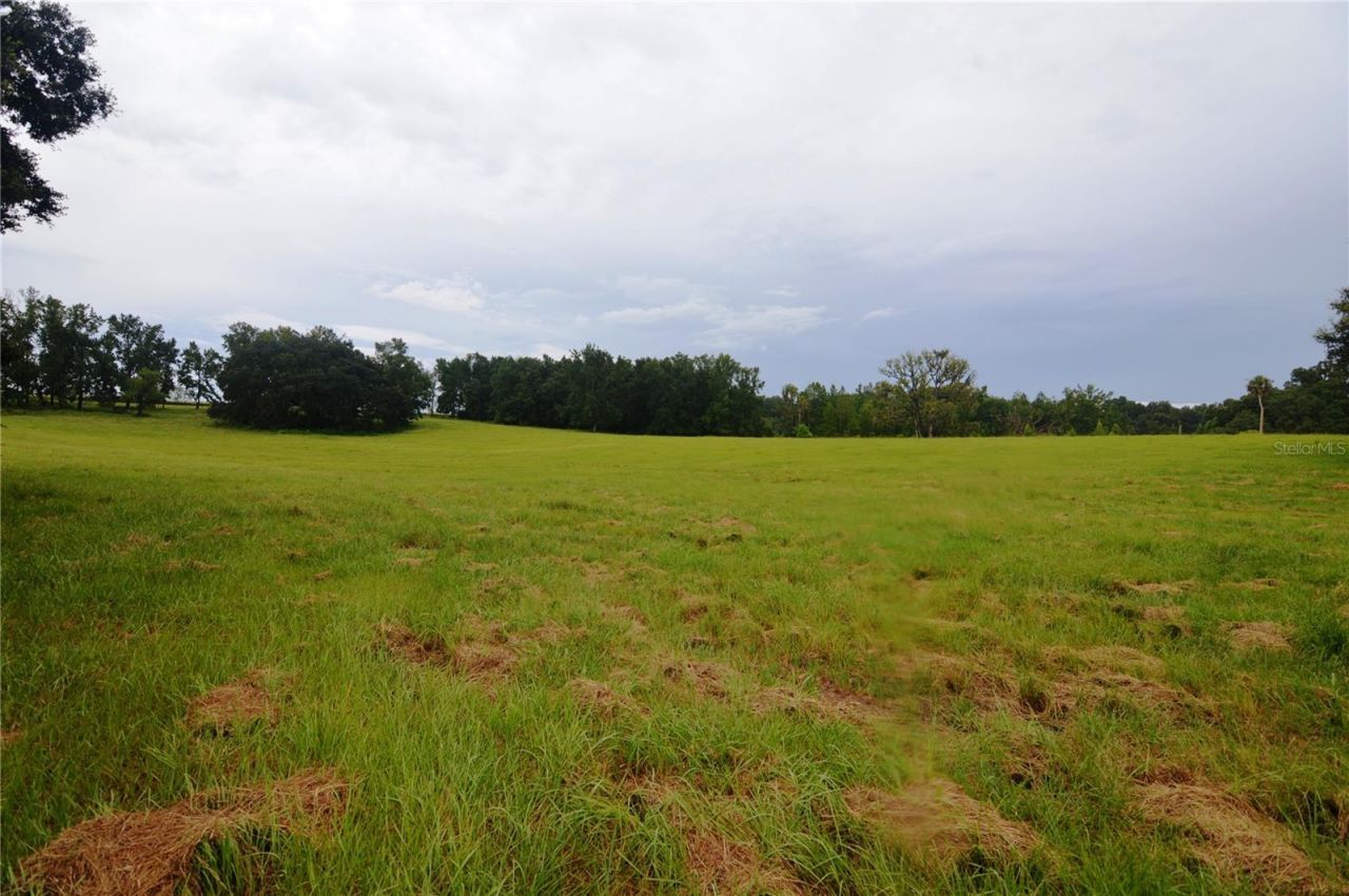 36641 Blanton Road, Dade City, FL 33523 Photo