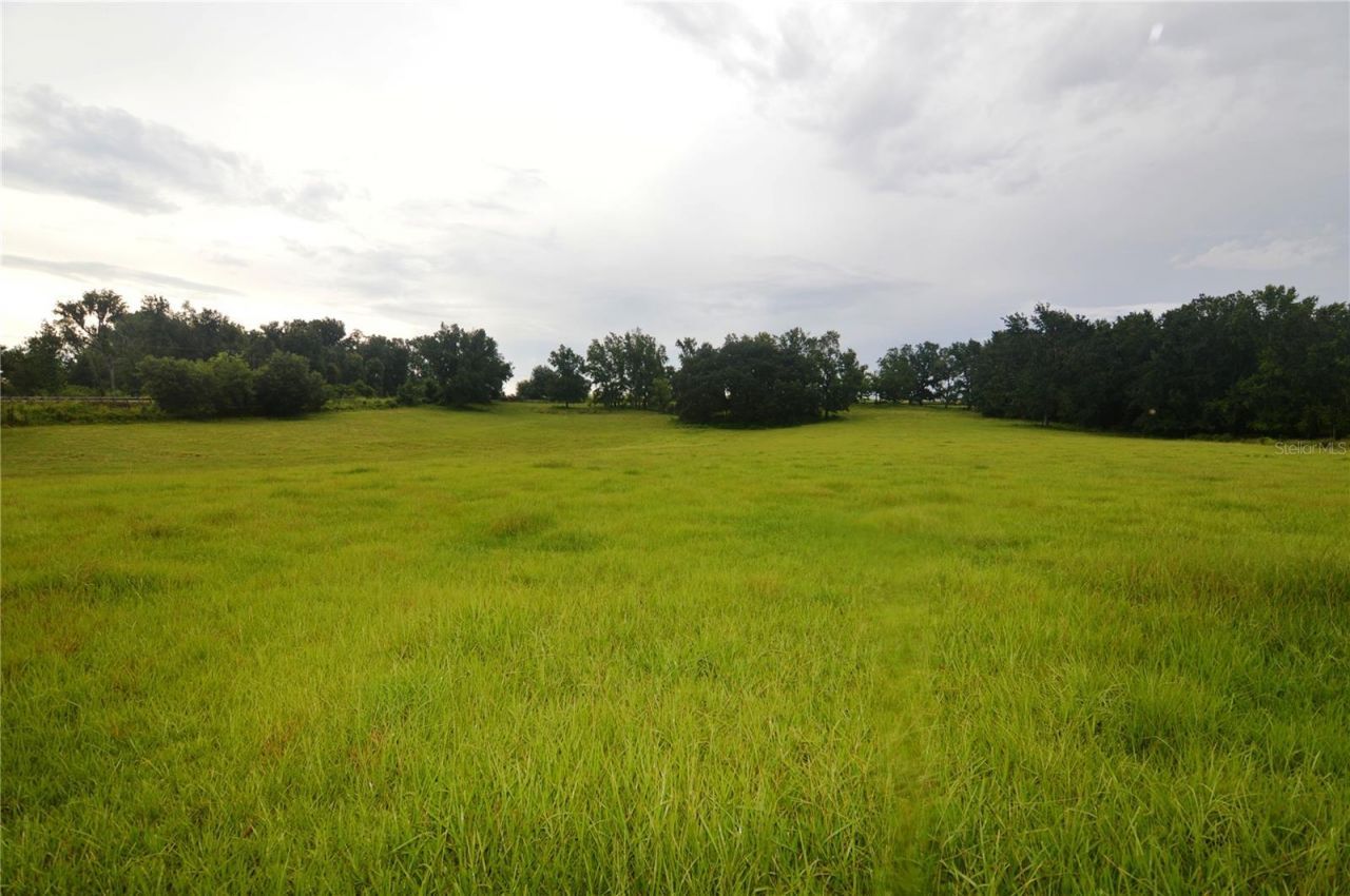 36641 Blanton Road, Dade City, FL 33523 Photo