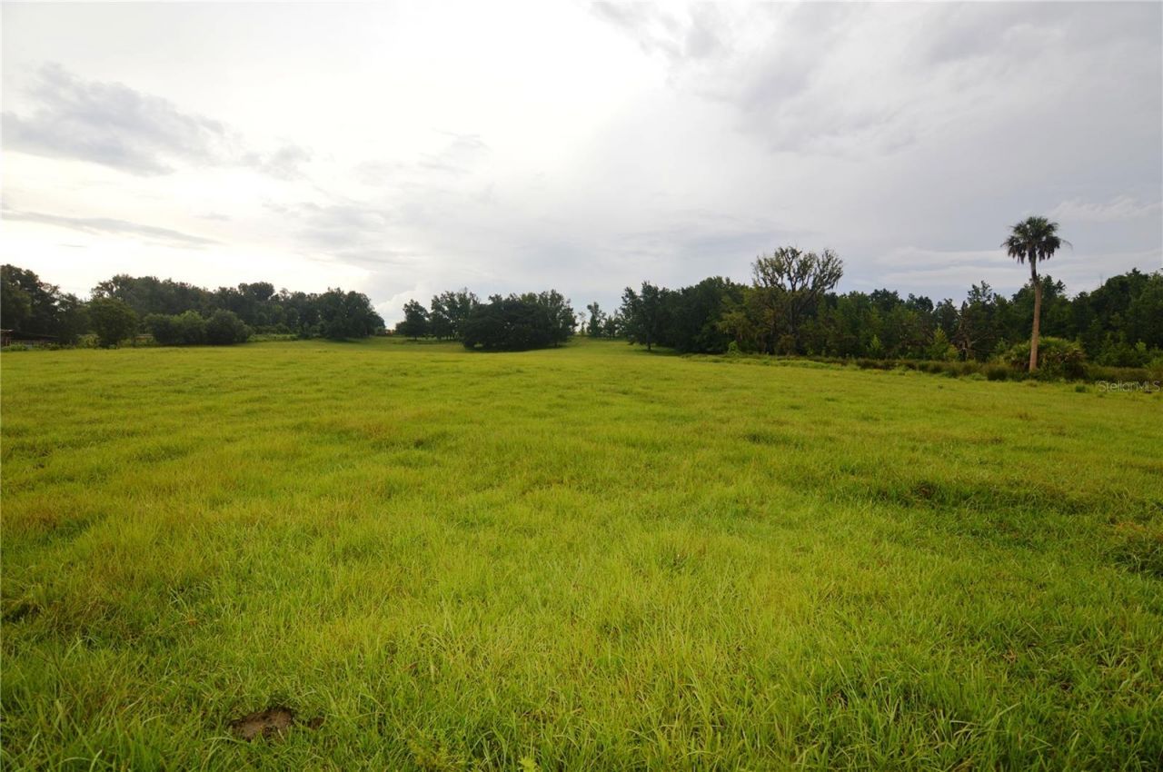 36641 Blanton Road, Dade City, FL 33523 Photo