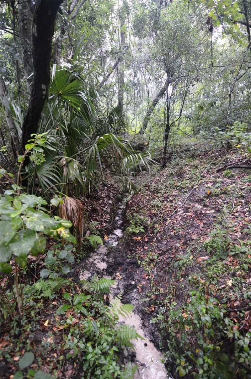 36641 Blanton Road, Dade City, FL 33523 Photo