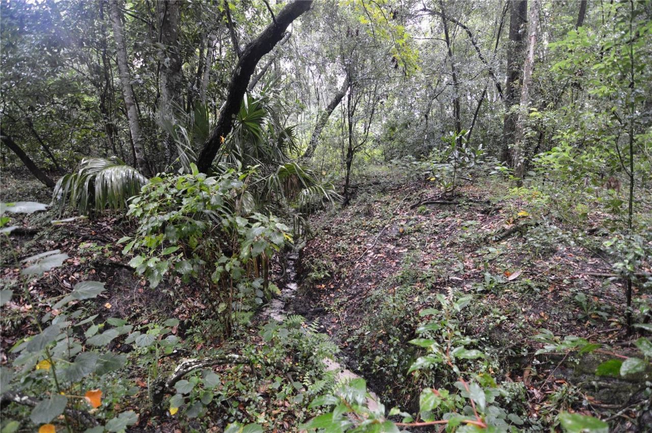 36641 Blanton Road, Dade City, FL 33523 Photo