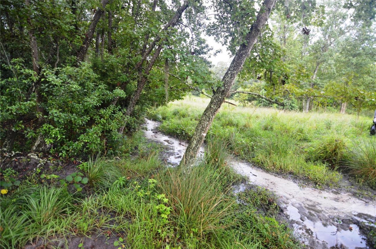 36641 Blanton Road, Dade City, FL 33523 Photo