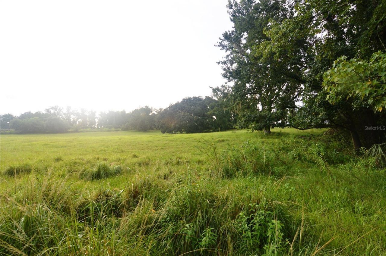 36641 Blanton Road, Dade City, FL 33523 Photo