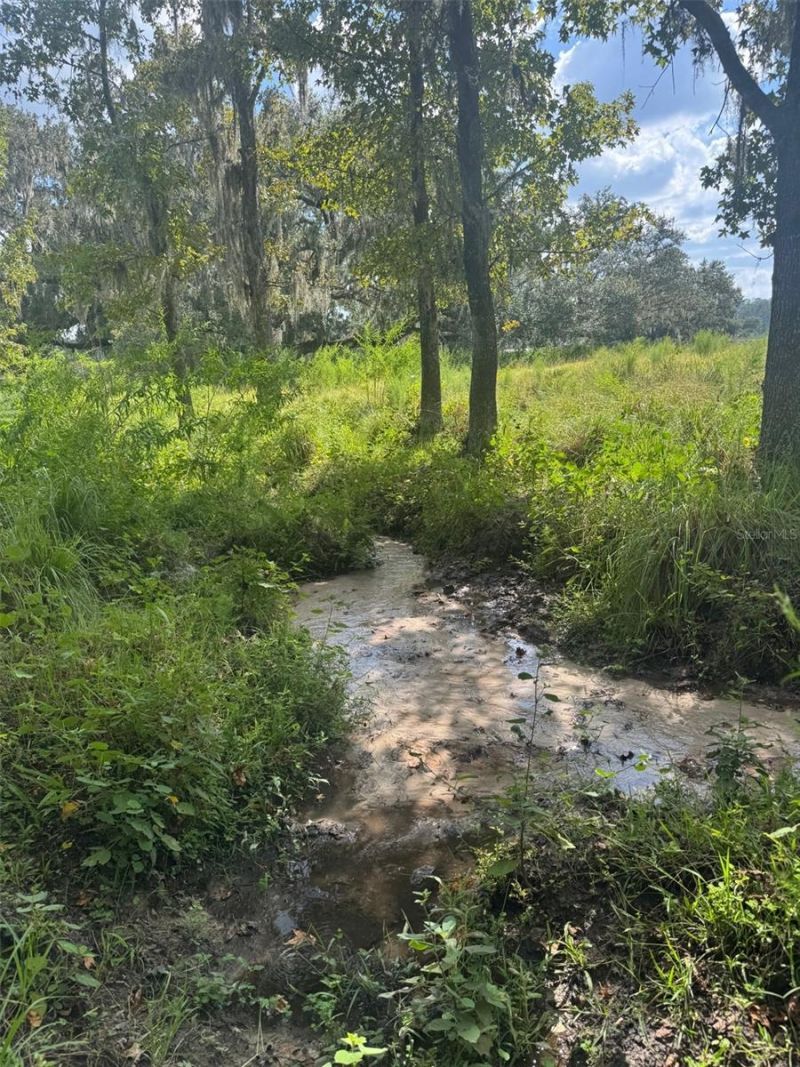 36641 Blanton Road, Dade City, FL 33523 Photo