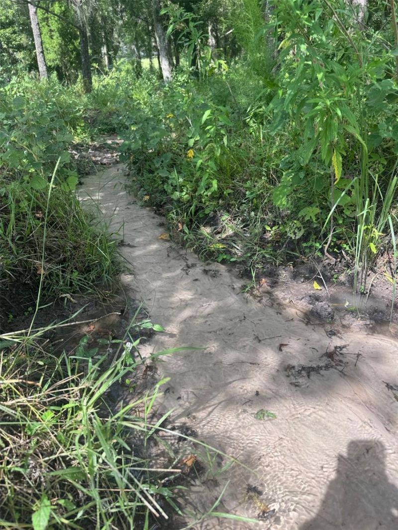 36641 Blanton Road, Dade City, FL 33523 Photo