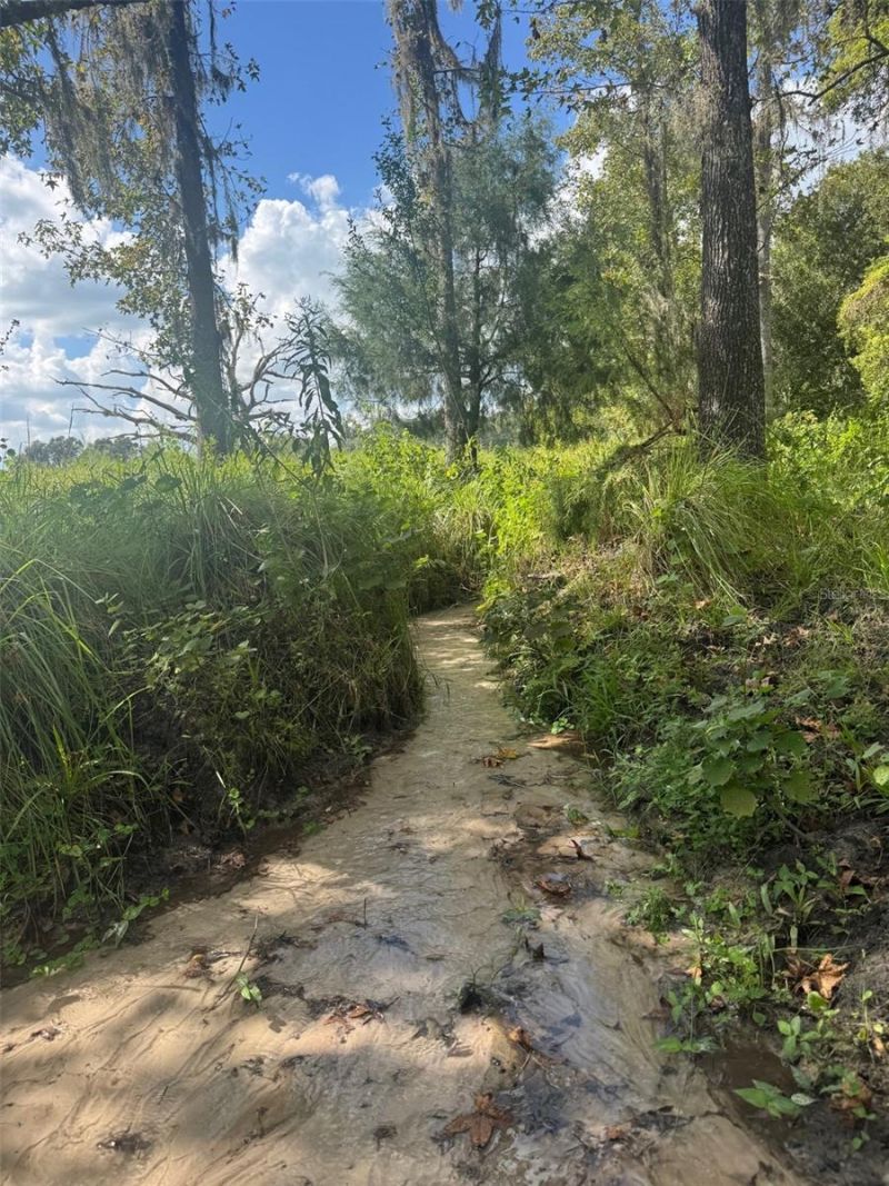 36641 Blanton Road, Dade City, FL 33523 Photo