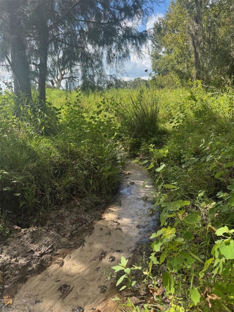 36641 Blanton Road, Dade City, FL 33523 Photo