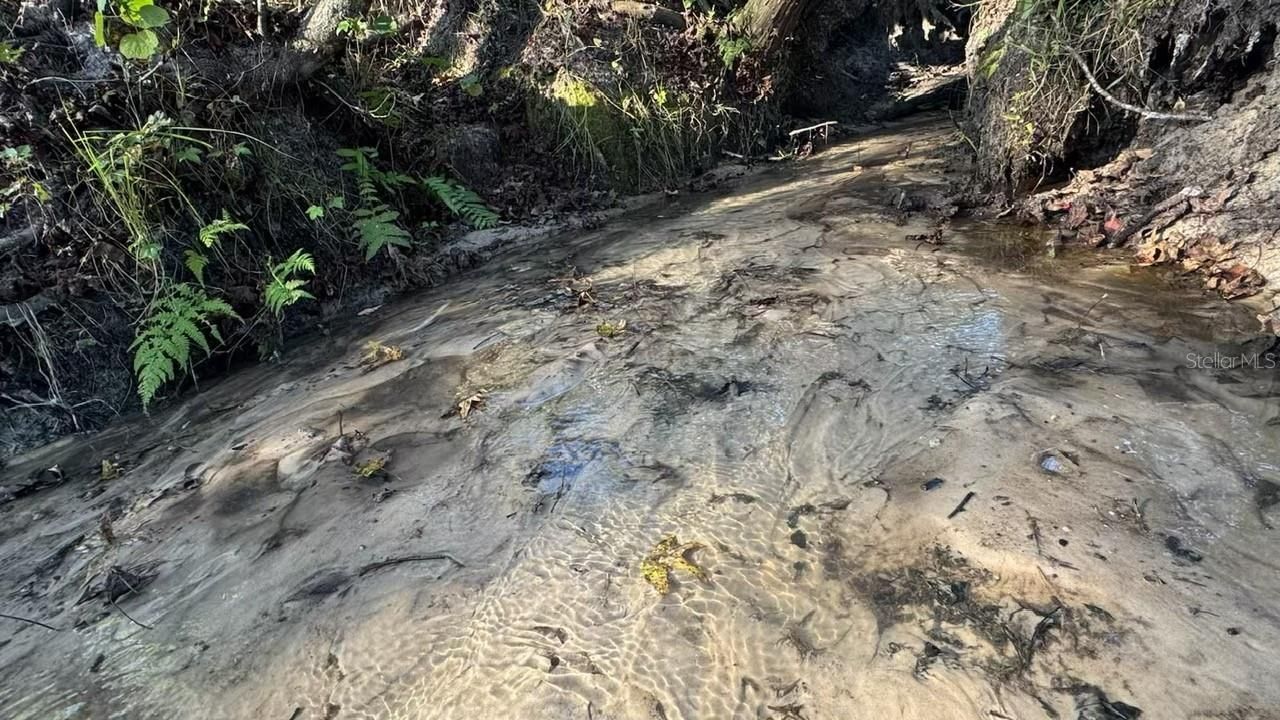 36641 Blanton Road, Dade City, FL 33523 Photo