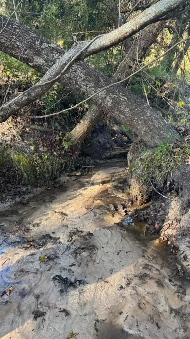 36641 Blanton Road, Dade City, FL 33523 Photo