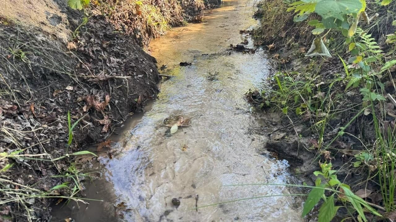 36641 Blanton Road, Dade City, FL 33523 Photo