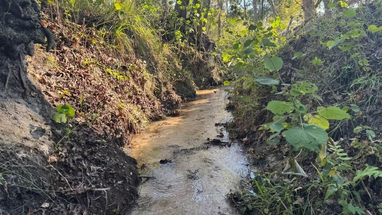 36641 Blanton Road, Dade City, FL 33523 Photo