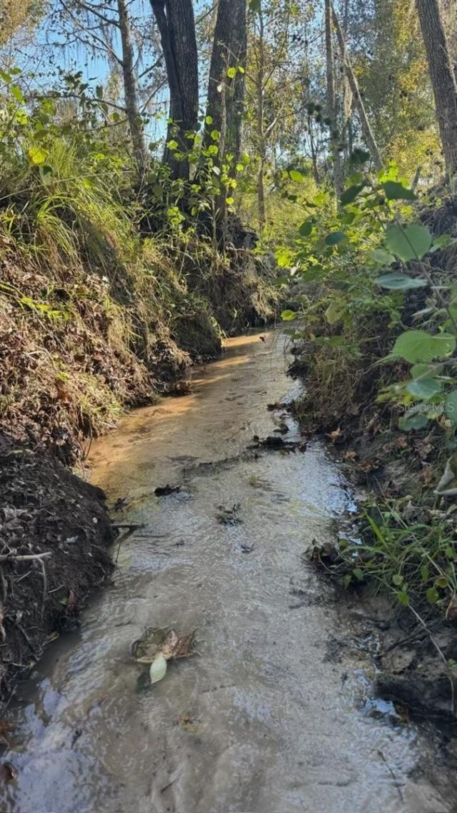 36641 Blanton Road, Dade City, FL 33523 Photo