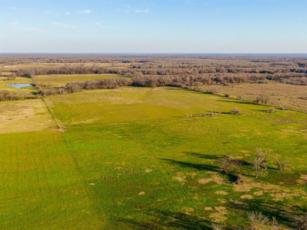 Tract 1 County Road 3525, Dike, TX 75437 Main Photo