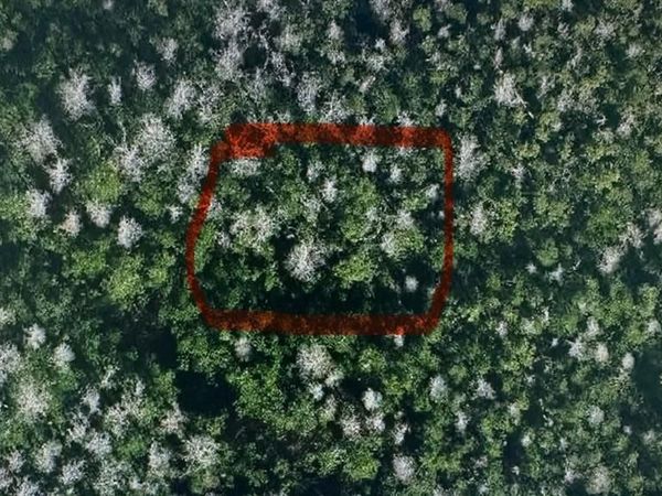 0 Holopaw Groves Rd, St. Cloud, FL 34771