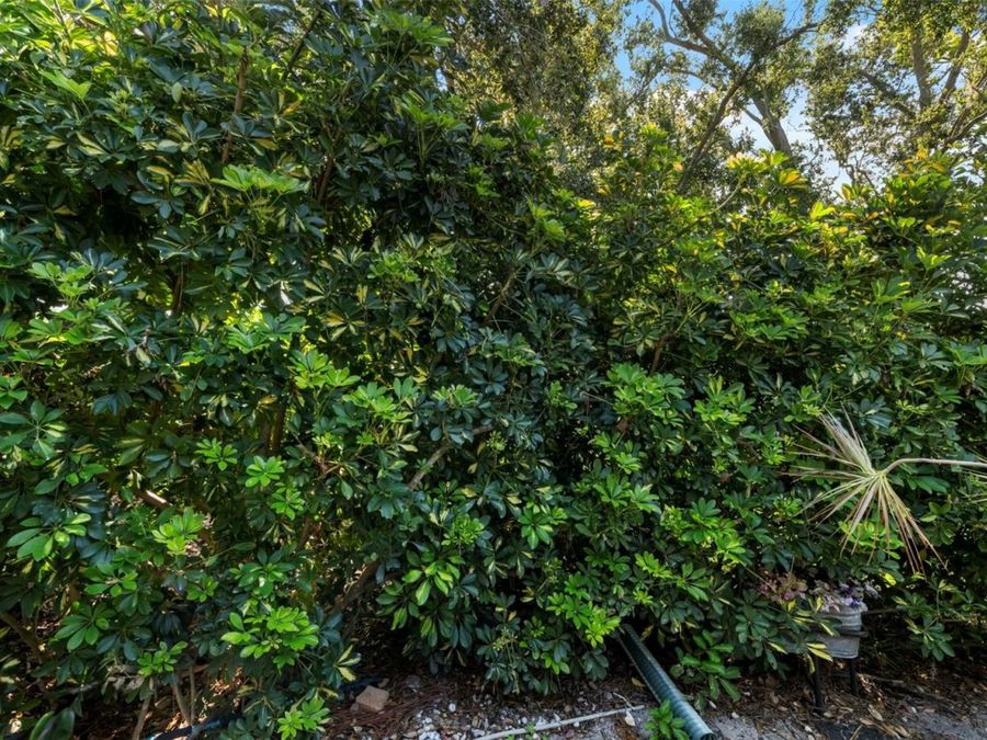 Property Image 58