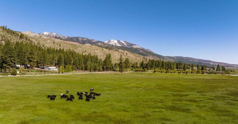 05 Franktown Rd, Washoe Valley, NV 89704 Photo