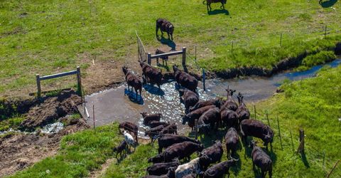 05 Franktown Rd, Washoe Valley, NV 89704 Photo